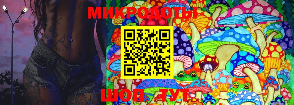 Галлюциногенные грибы Psilocybe  Вход с VPN  Белогорск 